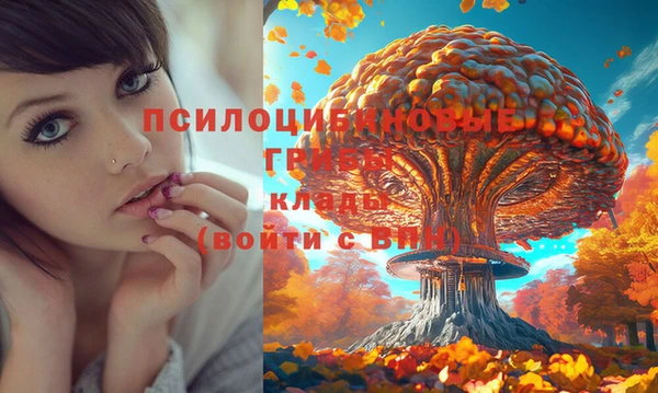 прущие грибы Алексин