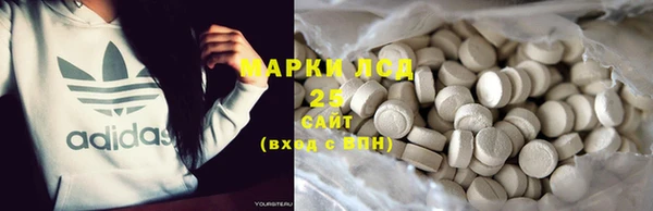 прущие грибы Алексин