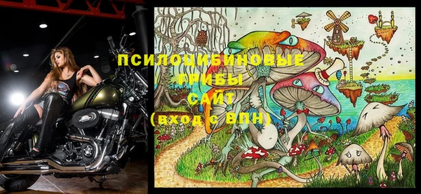 прущие грибы Алексин