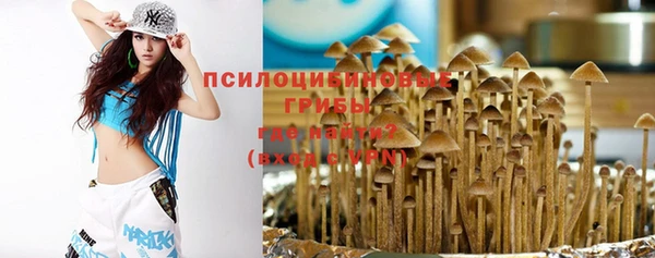 тгк Алзамай