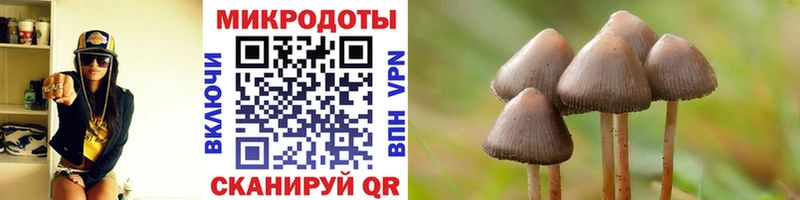 Галлюциногенные грибы GOLDEN TEACHER Мышкин
